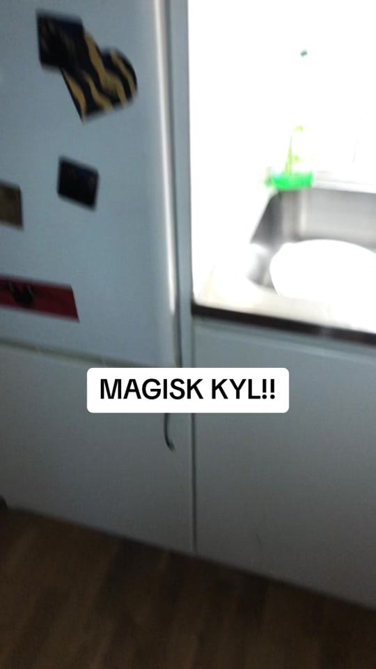 Post 9 by Vilda Väsby on TikTok (video)