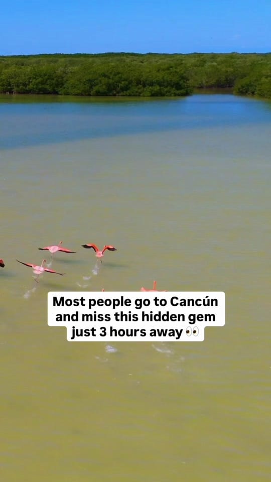 Post 2 by Nishat & Musa|Content Creators on TikTok (video)