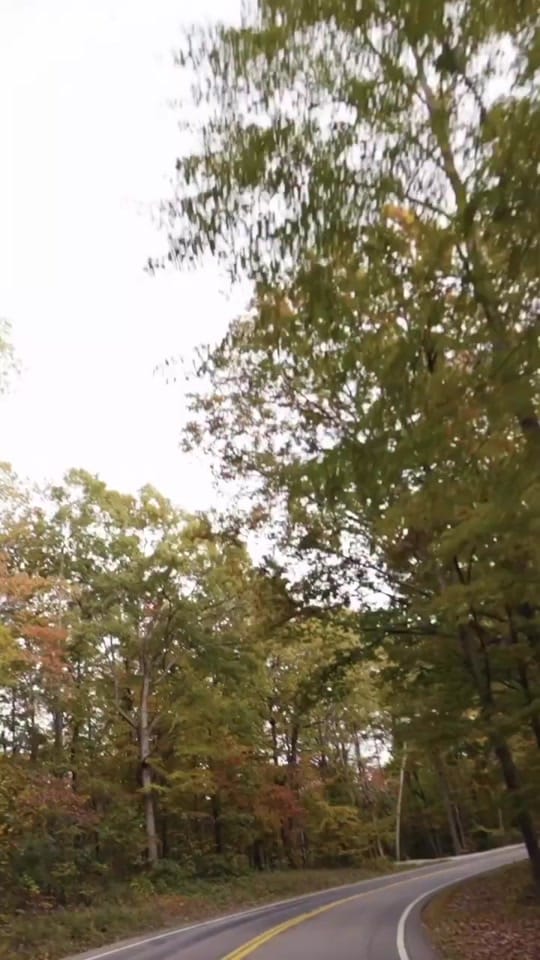 Post 2 by Downs & Towns on TikTok (video)