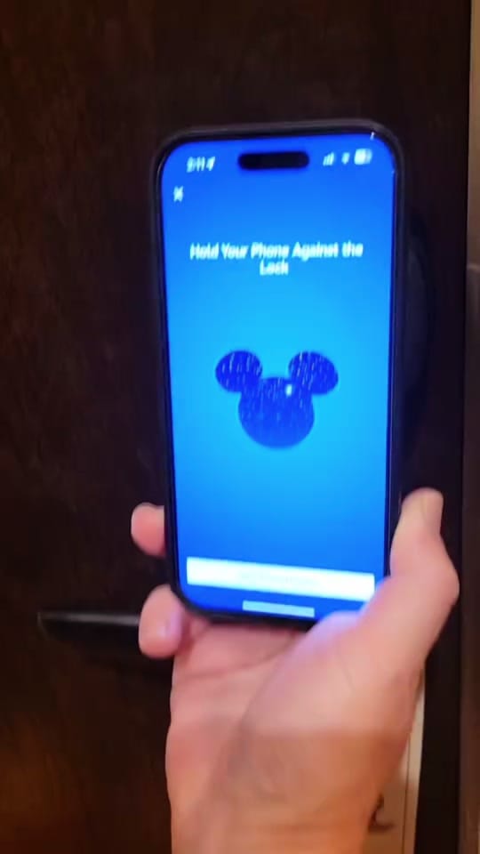 Post 5 by Amanda on TikTok (video)