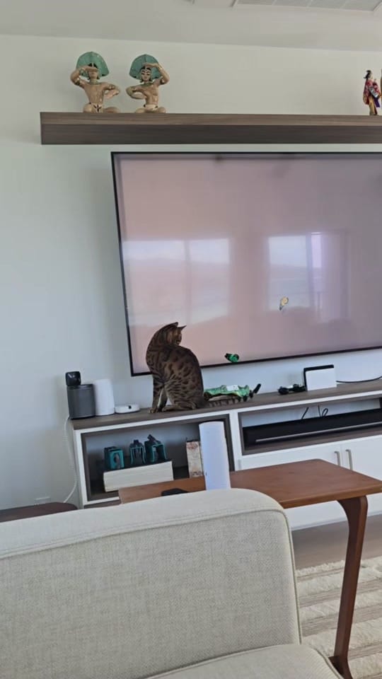 Post 4 by AlohaBruce on TikTok (video)
