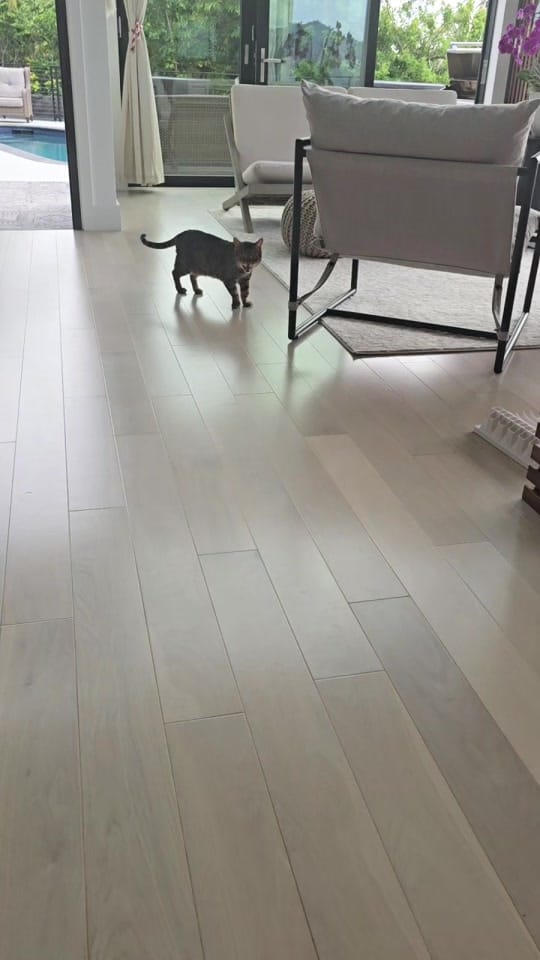 Post 8 by AlohaBruce on TikTok (video)