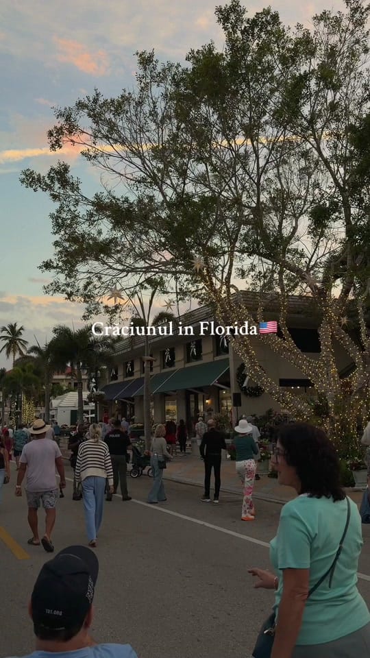 Post 5 by iulia 💗 on TikTok (video)