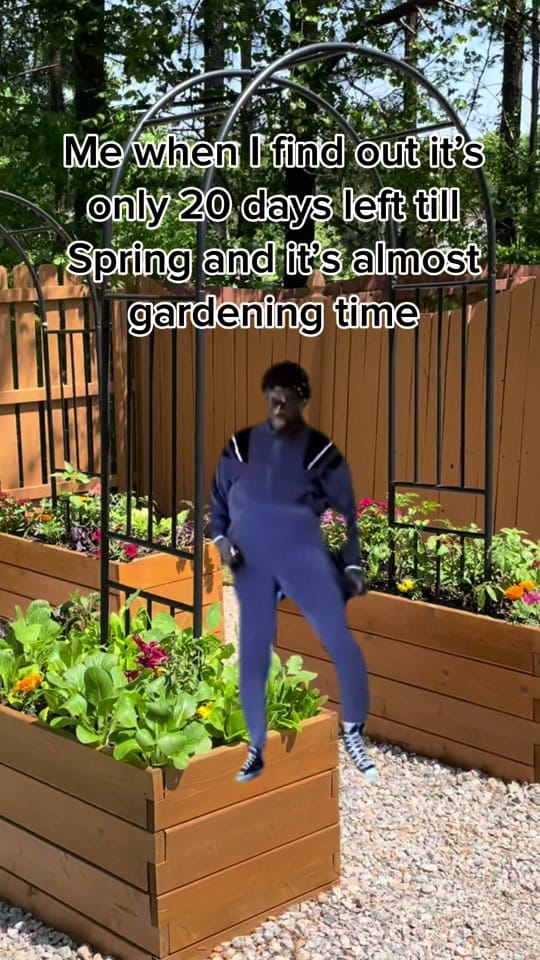 Post 3 by The Kris Life on TikTok (video)