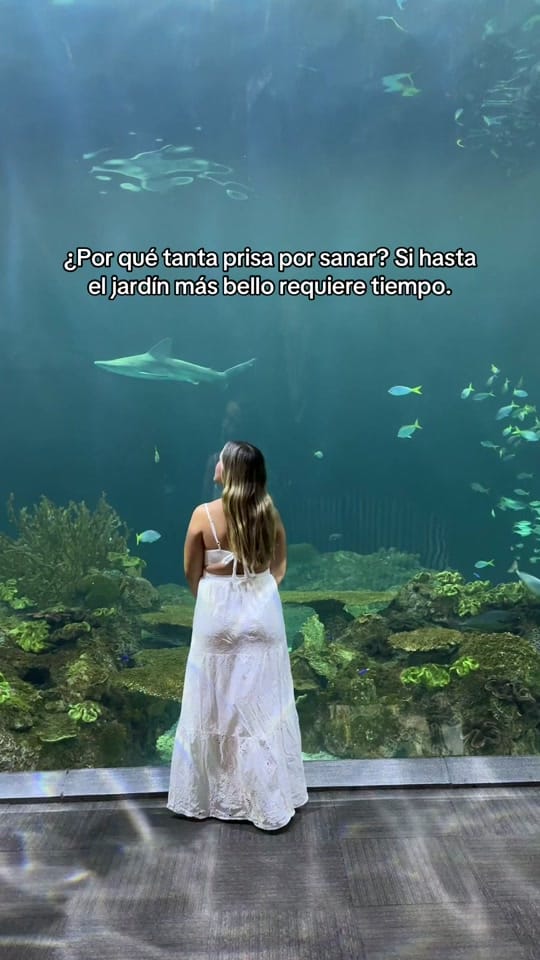 Post 10 by Paula| Chicago Content Creator on TikTok (video)