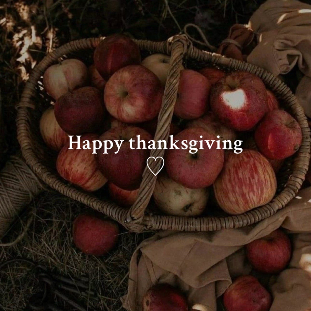 Post 3 by GREYS USA on TikTok (video)