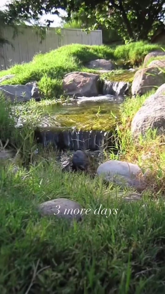 Post 4 by GREYS USA on TikTok (video)