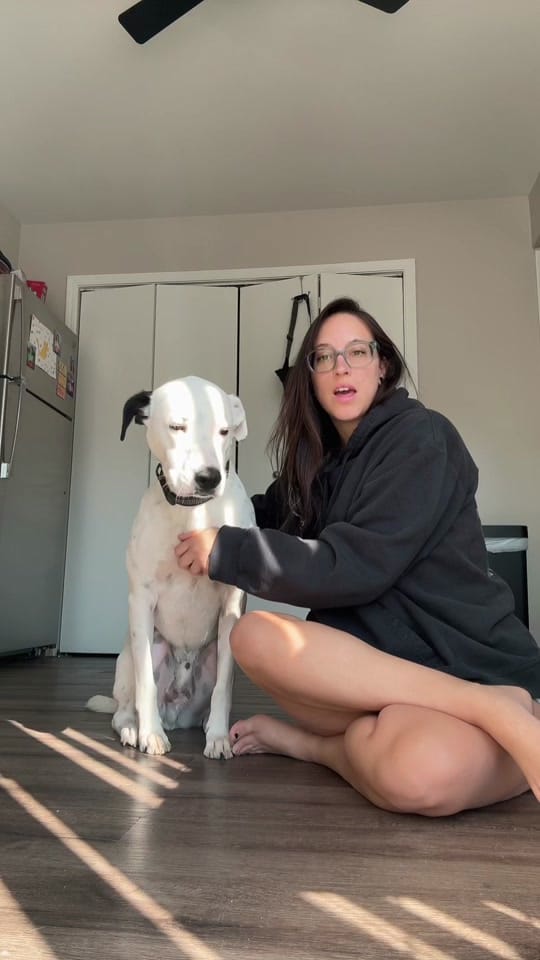 Post 8 by kingkoxo on TikTok (video)