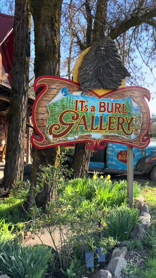 Post 4 by It’s a Burl on TikTok (video)
