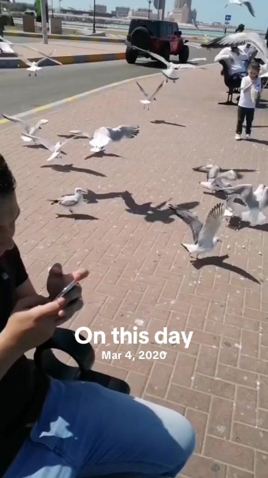 Post 2 by Vishal Manglani on TikTok (video)