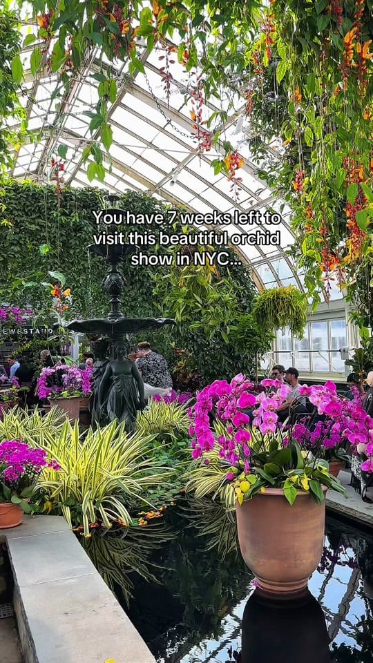 Post 3 by Amorray on TikTok (video)