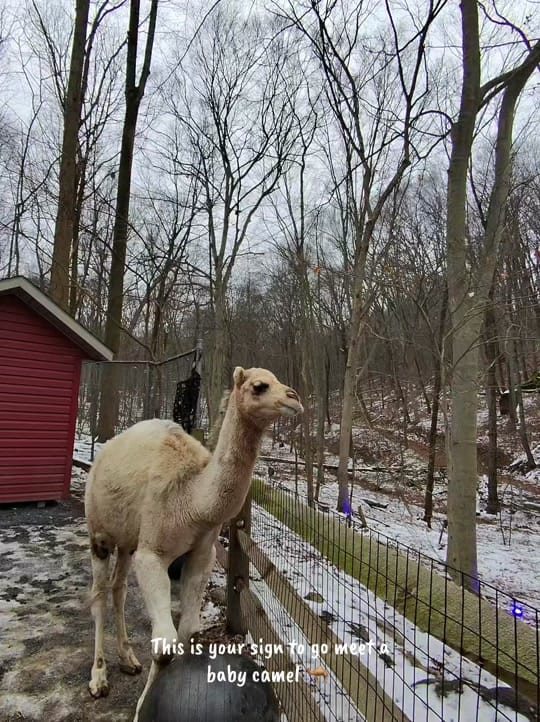 Post 1 by DD on TikTok (video)