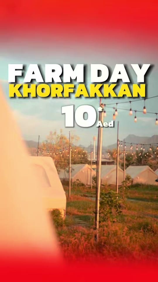 Post 6 by aashifakalamm on TikTok (video)