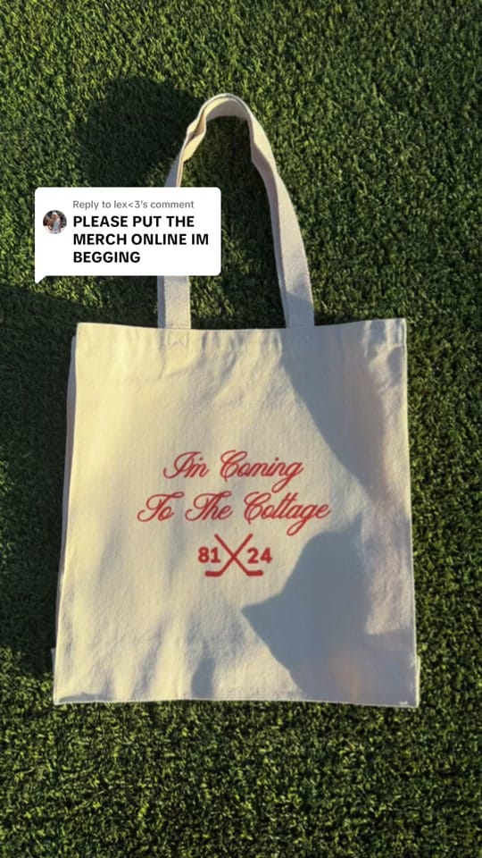 Post 2 by Blush Bookstore on TikTok (video)