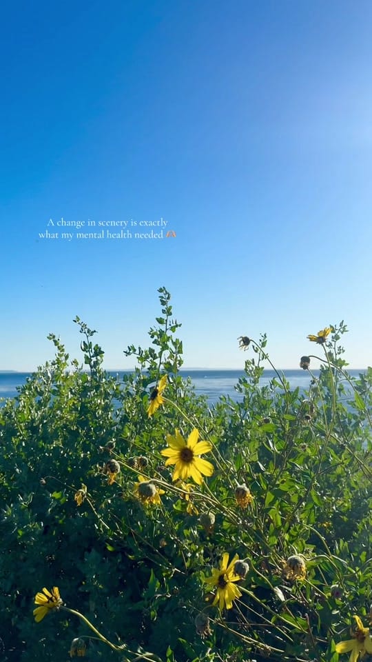Post 2 by Nancy C on TikTok (video)