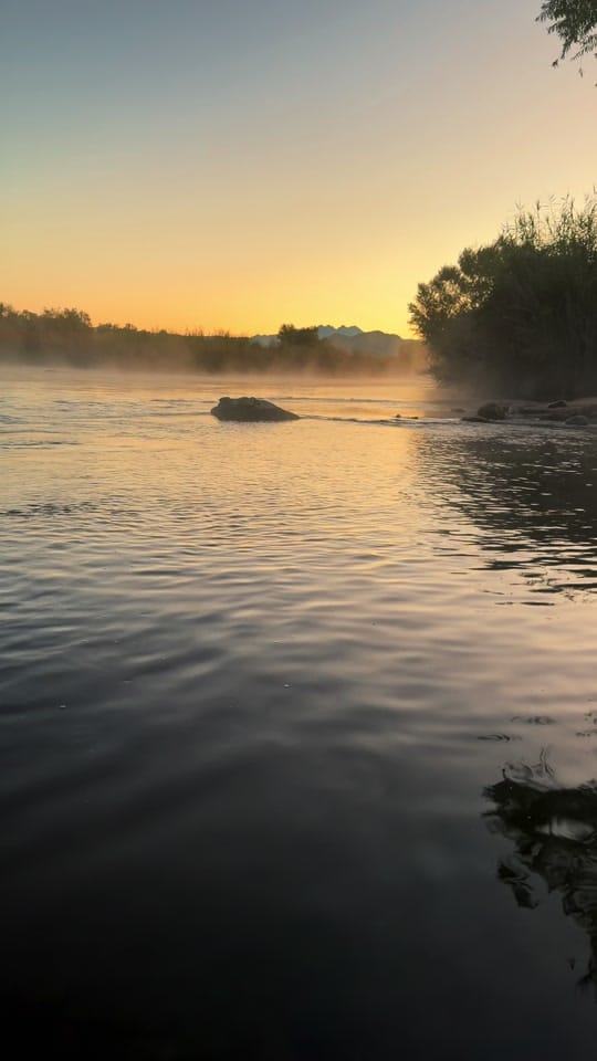 Post 5 by phoenixpitsphotography on TikTok (video)