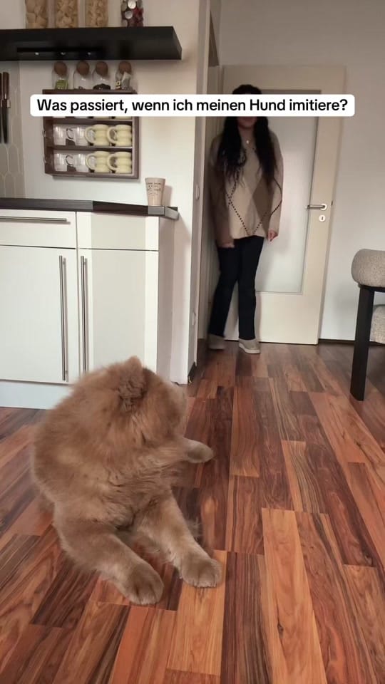 Post 5 by VenusAziz on TikTok (video)