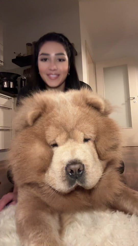 Post 8 by VenusAziz on TikTok (video)