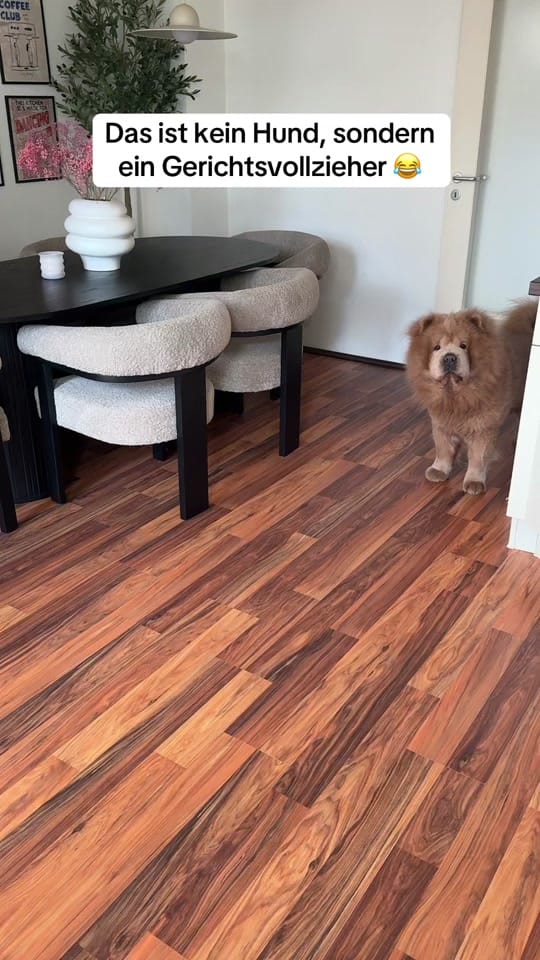 Post 3 by VenusAziz on TikTok (video)