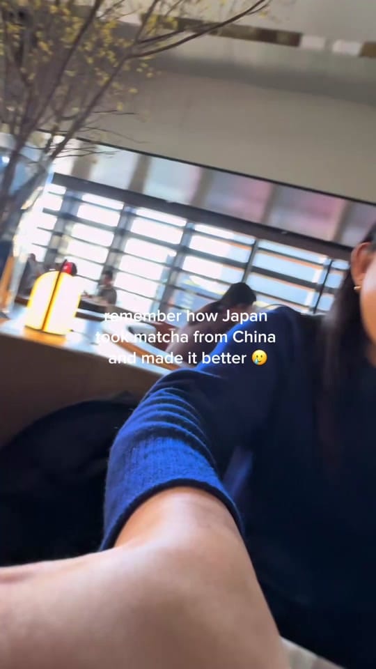 Post 1 by itsbeen.oolong on TikTok (video)