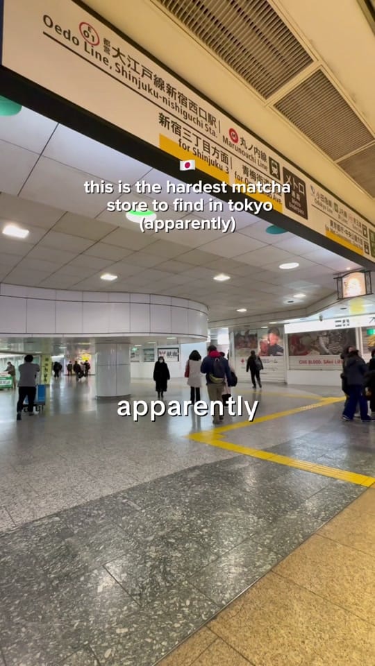 Post 6 by itsbeen.oolong on TikTok (video)