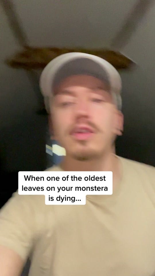 Post 8 by Nono on TikTok (video)
