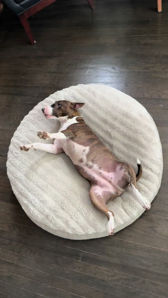 Post 4 by Nono on TikTok (video)
