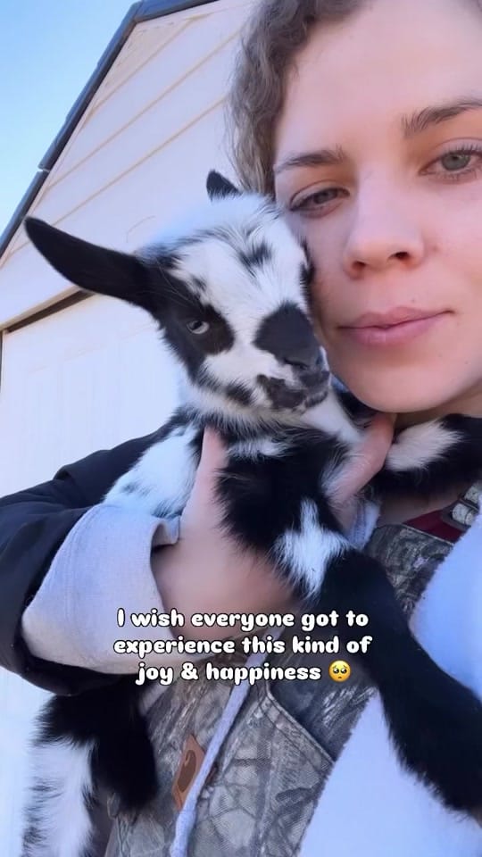 Post 4 by The Urban Ladybug Farm on TikTok (video)