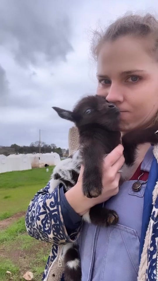 Post 7 by The Urban Ladybug Farm on TikTok (video)