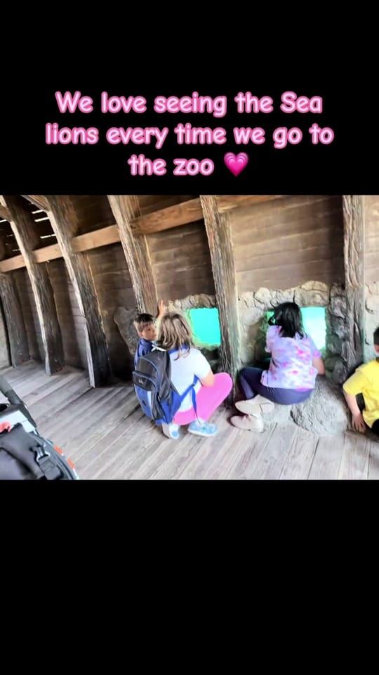 Post 3 by Kimberly on TikTok (video)