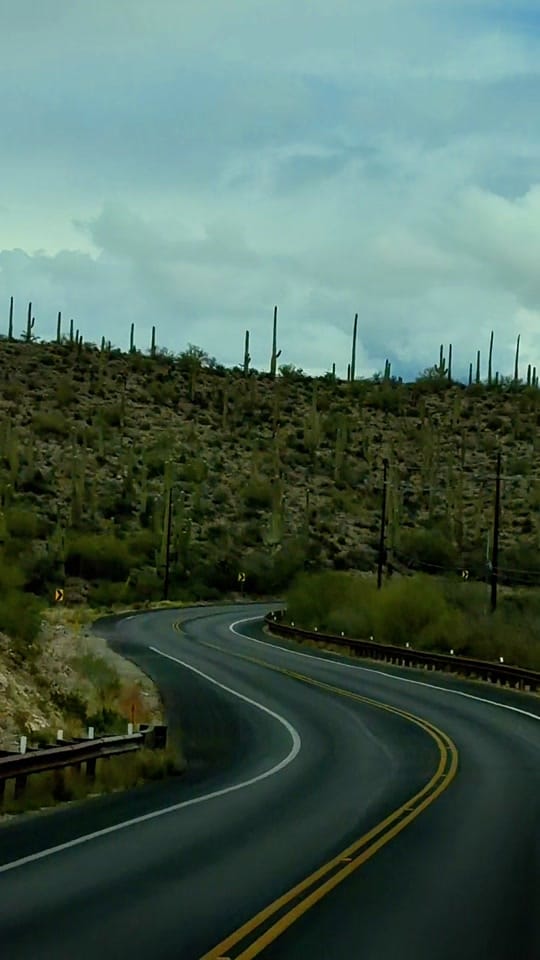 Post 4 by tucsonpov on TikTok (video)