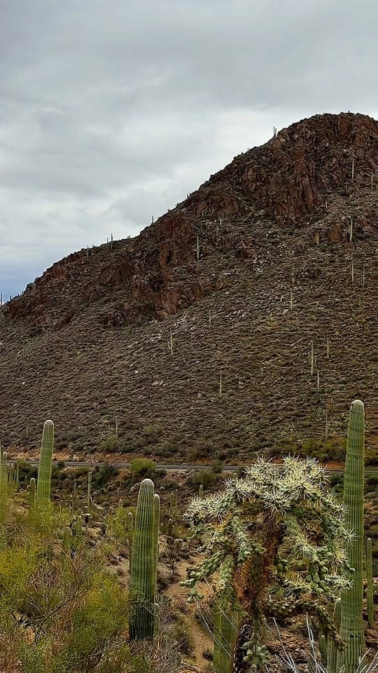 Post 3 by tucsonpov on TikTok (video)