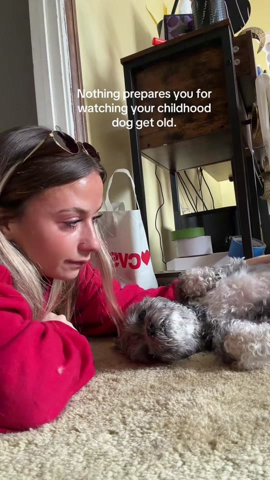Post 5 by mccannshealyn on TikTok (video)