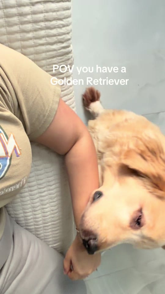Post 7 by modernsenoralife on TikTok (video)
