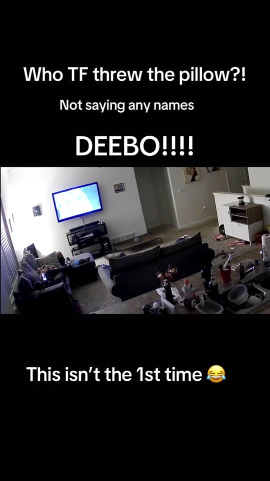 Post 5 by DeeBo on TikTok (video)