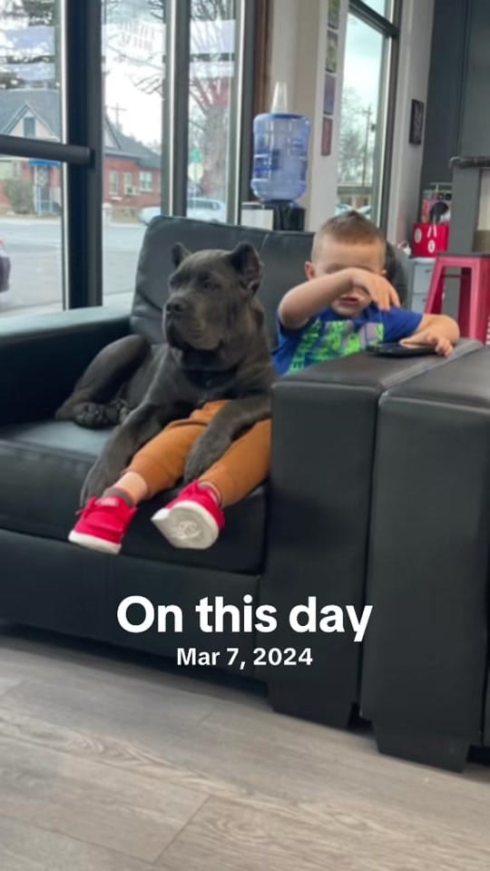 Post 2 by DeeBo on TikTok (video)