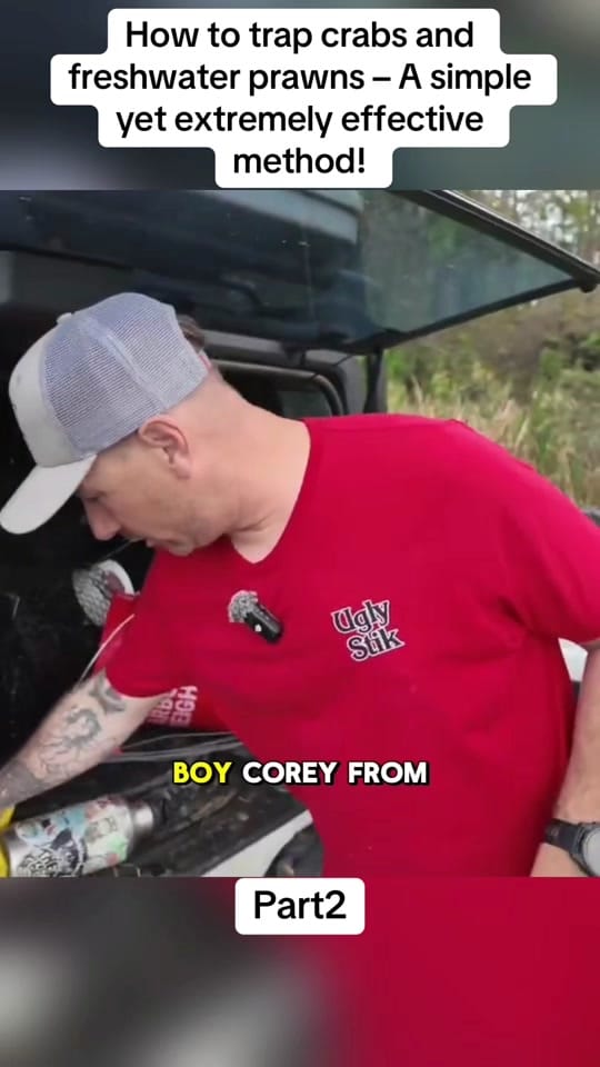 Post 2 by Fishing with the sailor on TikTok (video)