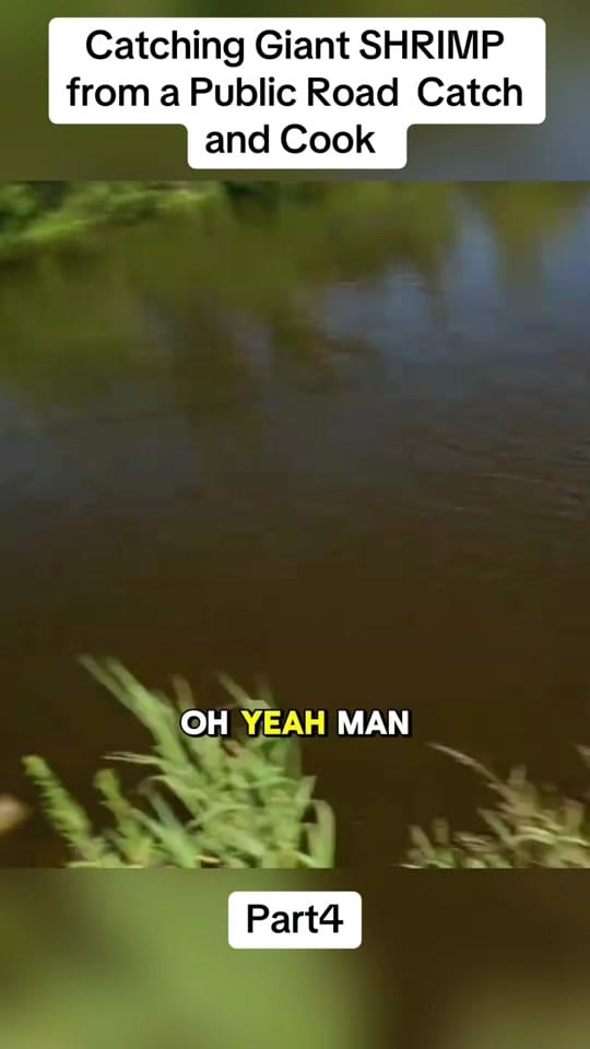 Post 5 by Fishing with the sailor on TikTok (video)