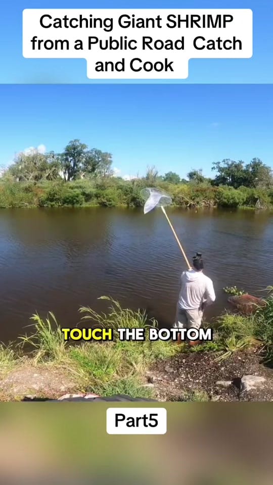 Post 4 by Fishing with the sailor on TikTok (video)