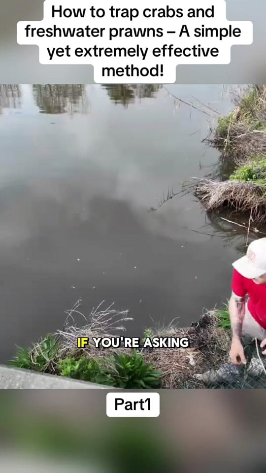 Post 3 by Fishing with the sailor on TikTok (video)