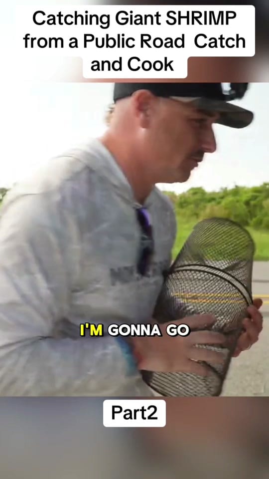 Post 7 by Fishing with the sailor on TikTok (video)
