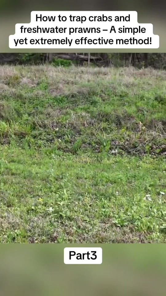 Post 1 by Fishing with the sailor on TikTok (video)