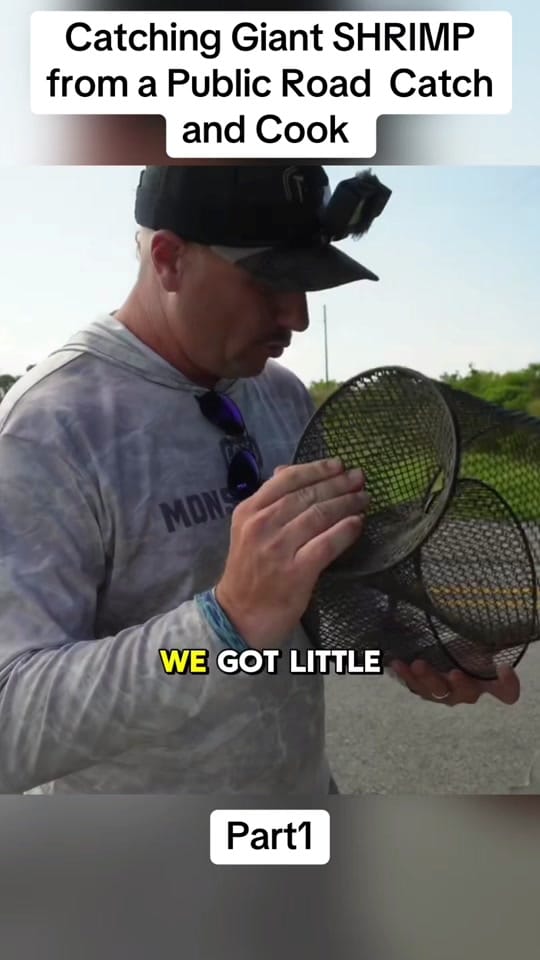 Post 8 by Fishing with the sailor on TikTok (video)