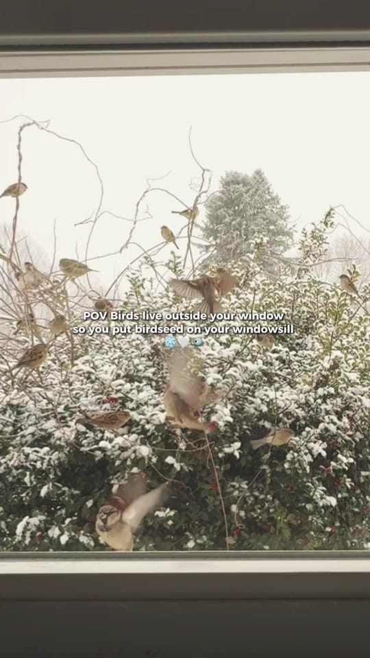 Post 7 by Rebecca | New England Edit Co on TikTok (video)