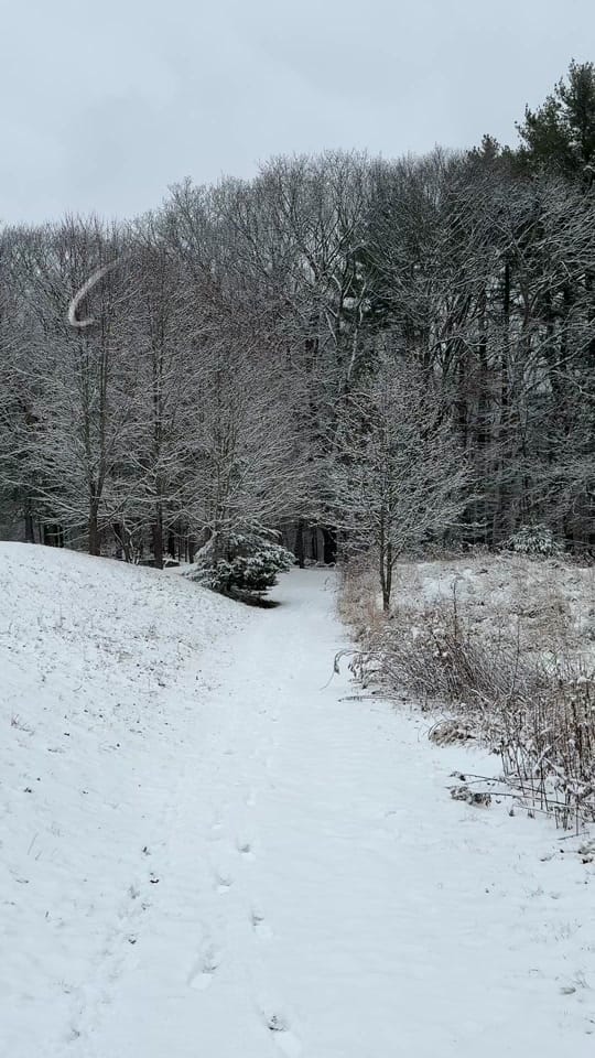 Post 4 by Rebecca | New England Edit Co on TikTok (video)
