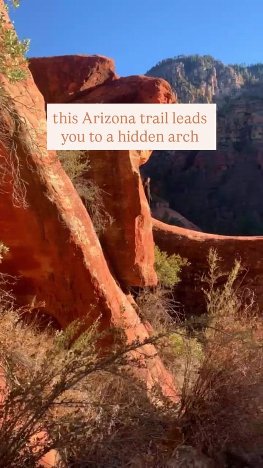 Post 7 by @shan.in.az | Shannon Roberts on TikTok (video)