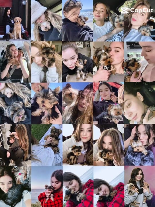 Post 6 by Haiz on TikTok (video)