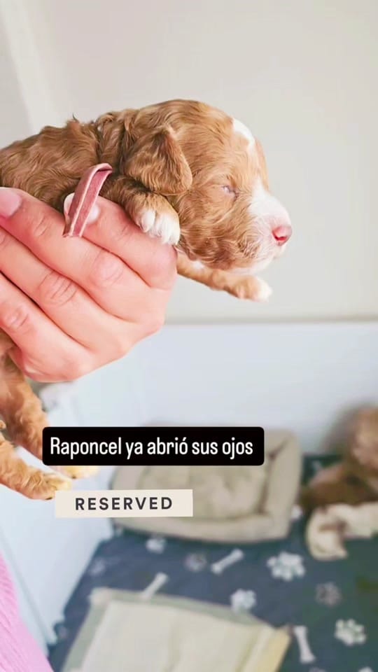 Post 8 by Mary ortiz on TikTok (video)
