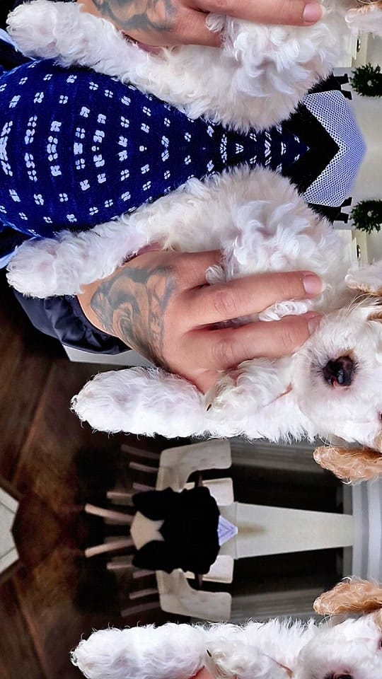 Post 2 by Mary ortiz on TikTok (video)