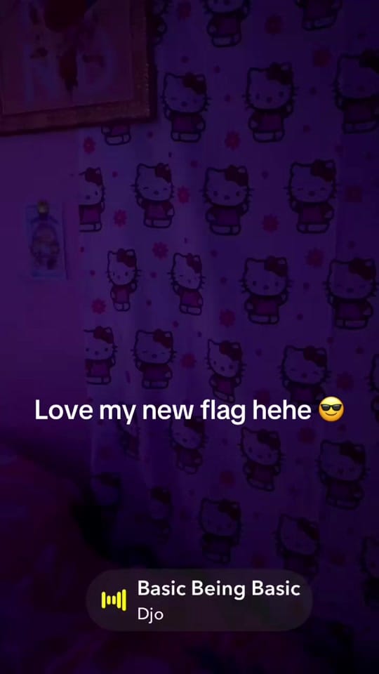 Post 10 by 𝓖𝓪𝓫𝓻𝓲𝓮𝓵𝓪 ❣️ on TikTok (video)